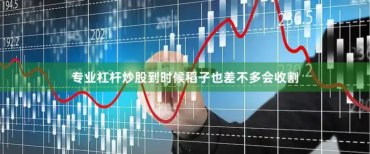 专业杠杆炒股到时候稻子也差不多会收割
