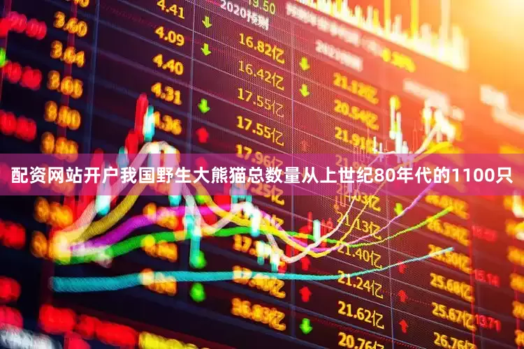 配资网站开户我国野生大熊猫总数量从上世纪80年代的1100只