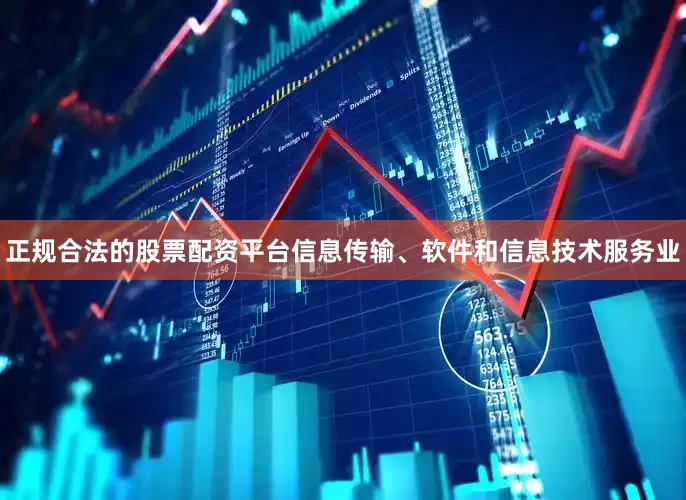 正规合法的股票配资平台信息传输、软件和信息技术服务业